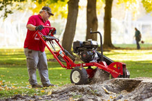 Load image into Gallery viewer, Barreto Stump Grinder