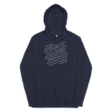 Load image into Gallery viewer, skyrofloors - Unisex midweight hoodie