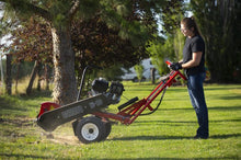 Load image into Gallery viewer, Barreto Stump Grinder