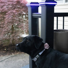 Load image into Gallery viewer, Tru-Scapes® 4.5″ Composite Color Changing LED Deck Post Cap Light (Fits TREX Transcend Posts)