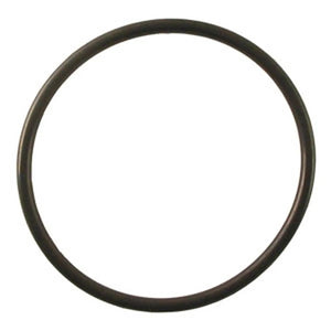 Wacker Neuson PT3, PT3A Pump Cover O-Ring