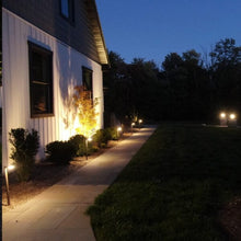Load image into Gallery viewer, Accent Light, 12V 8W PAR36 LED 120° beam 2700k, w/silicone wire nuts - High Power Accent Light—TS-B106