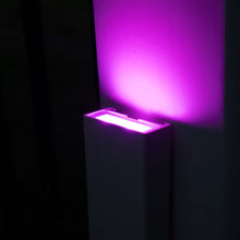 Load image into Gallery viewer, Low Profile Pool Encl, Post or Wall Mount Sconce 12V 2W RGBCW module